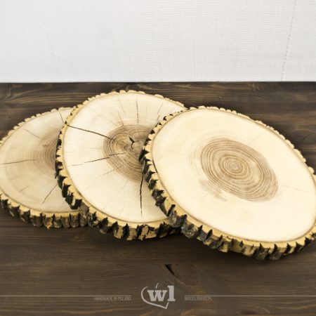 Wood slice 18-40cm polished